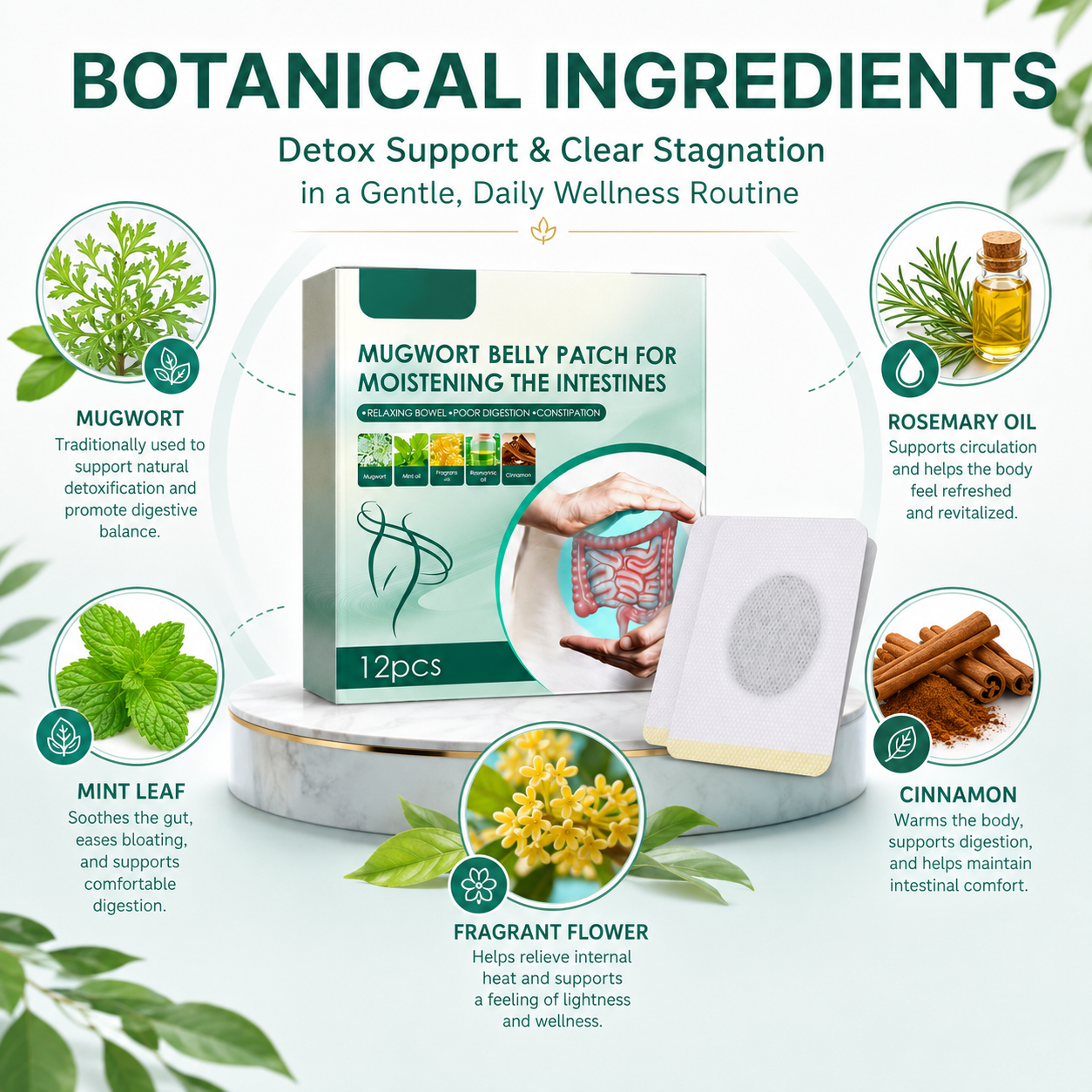 Mugwort Belly Detox Patch – Daily Digestive Comfort & Bloating Support -$AC